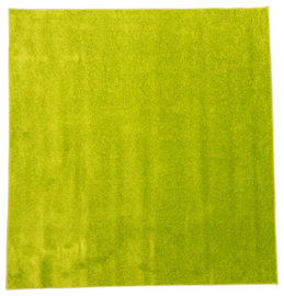 Tapijt 200x300cm - Groen