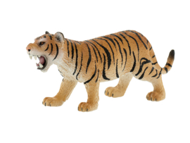 Tijger