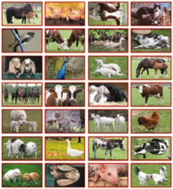Stickers boerderijdieren - serie 110