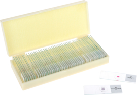 Set microscoop glaasjes 50 stuks