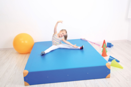 Dik gym matras afm. 200x150x25cm - blauw