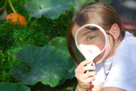 Groot vergrootglas met handvat