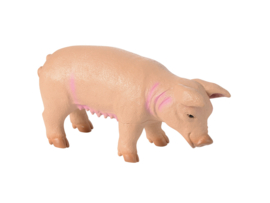 Reuze boerderijdieren 5 dlg.
