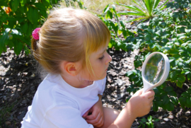 Groot vergrootglas met handvat