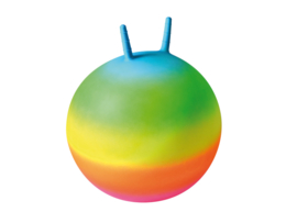 Skippybal regenboogkleuren 50 cm.