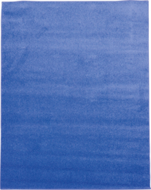 Tapijt 400x500cm - Blauw