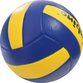 Volleybal