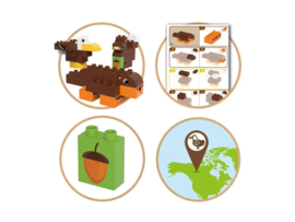 BiOBUDDi Wild Life Forest BB-0105