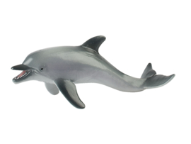 Zeedier dolfijn