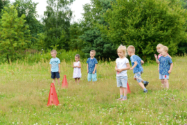 Pionnen met gaten -  rood