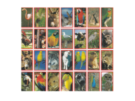 Stickers dieren assortiment