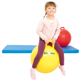 Skippy bal 45 cm