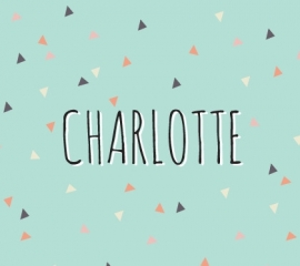 Charlotte / 22 februari 2015