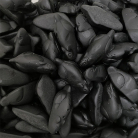 Zwarte muizen (1 kg) | Joris