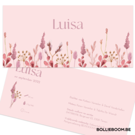 Geboortekaartje Luisa  |  droogbloemen