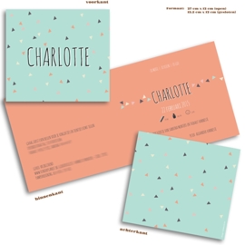 Charlotte / 29 augustus 2015