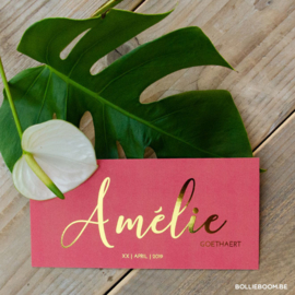 Amélie | 30 maart 2019