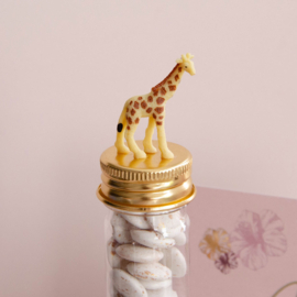 Geboortekaartje Milou  |  giraf
