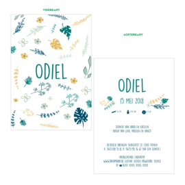 Geboortekaartje Odiel  |  fauna en flora