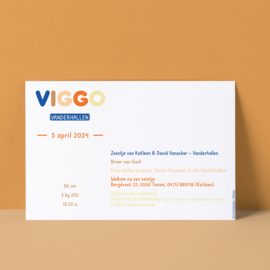 Geboortekaartje Viggo |  typografisch