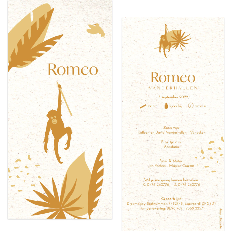 Geboortekaartje Romeo  |  orang-oeton - eco papier
