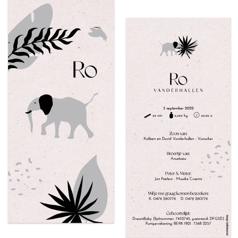 Olifant - eco papier |  geboortekaartje Ro