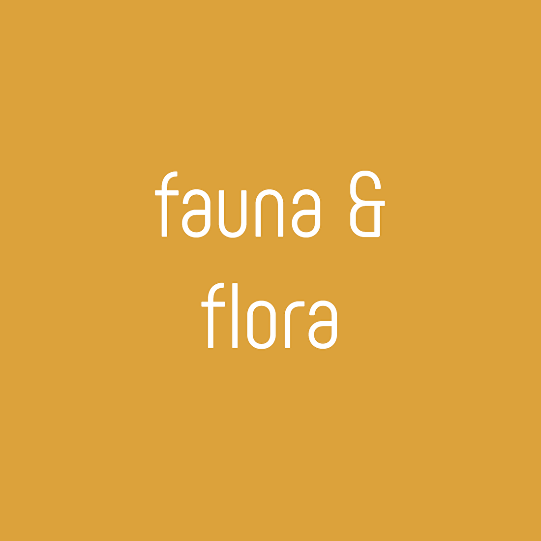 Geboortekaartjes met fauna & flora