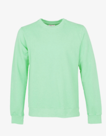 Colorful Standard - Classic Organic Crew Faded Mint