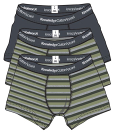Knowledge Cotton Apparel - Maple 3 pack Block Striped Underwear Sage
