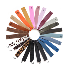 Paspoorthoesje | color block