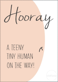 Kaart | Hooray a teeny tiny human on the way | Sale-variant