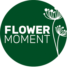 FlowerMoment