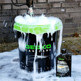 Gecko 2in1 Wash & Wax