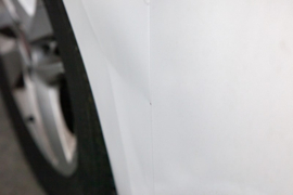 Quixx Dent Repair Kit