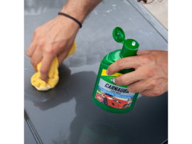 Turtle Wax Carnauba Car Wax