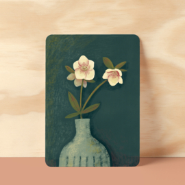 Sale | Kaart | Helleborus