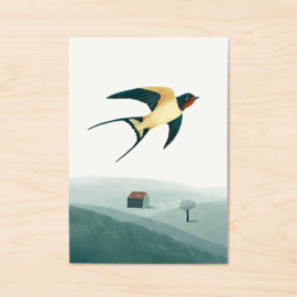 A5 print | Barn Swallow