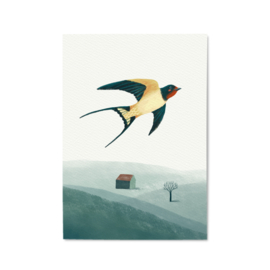 A5 print | Barn Swallow