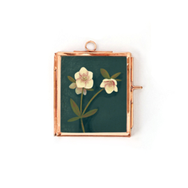 Minilijstje rosé goud | Helleborus
