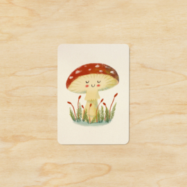 Minikaart |  Amanita