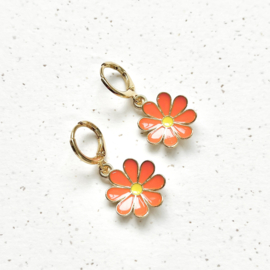 Oorbellen | Gerberas