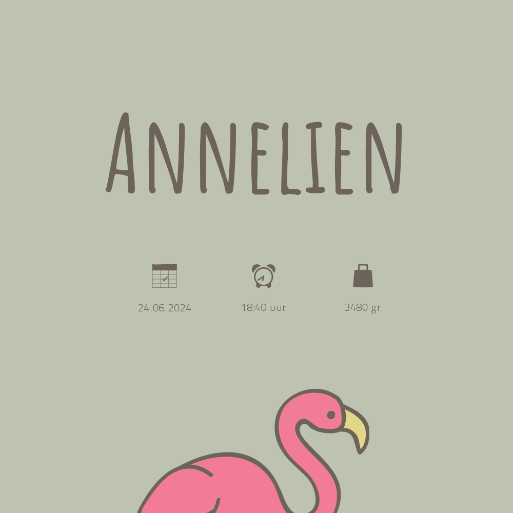 Flamingo