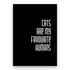 Cats are my favourite humans