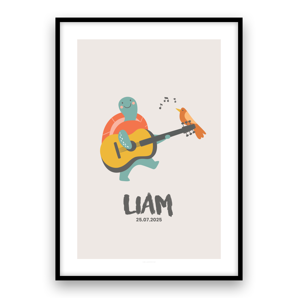 Gitaar schildpad