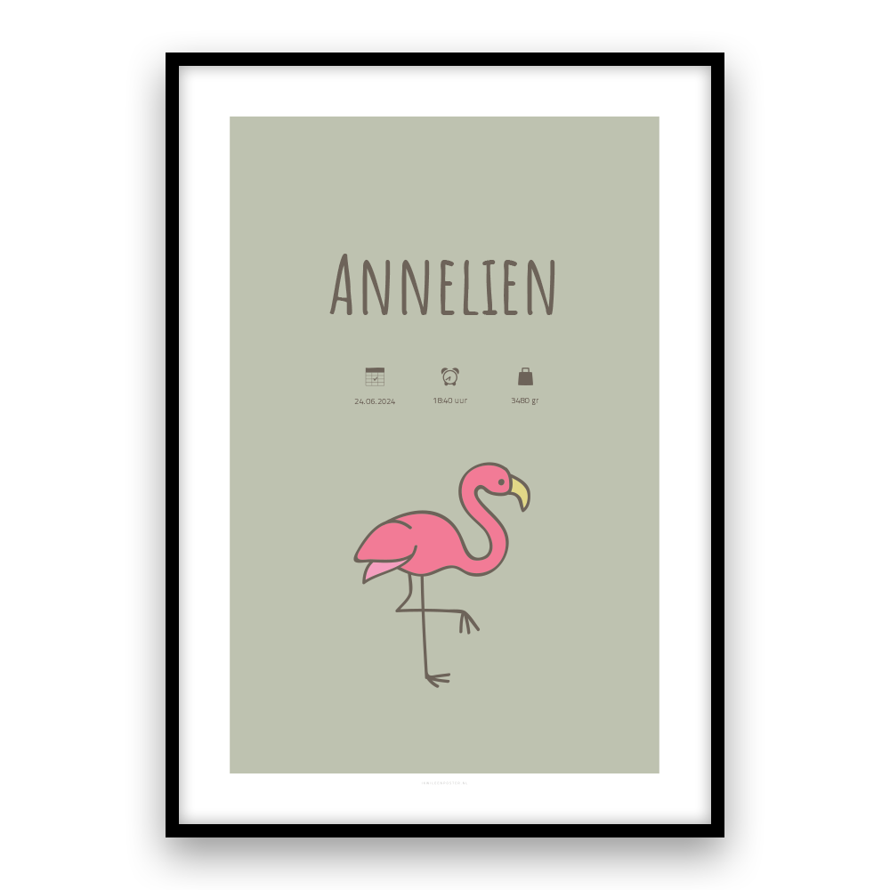 Flamingo