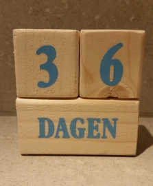 Baby-age blokken (mijlpaal blokken, aftelblokken)