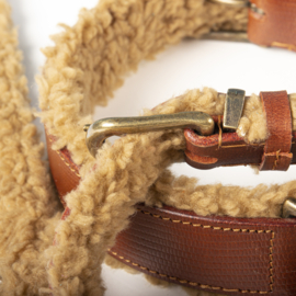 Teddy Halsband