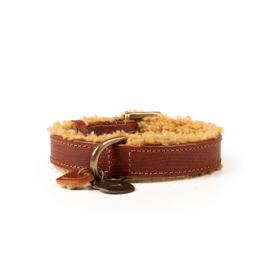 Teddy Halsband