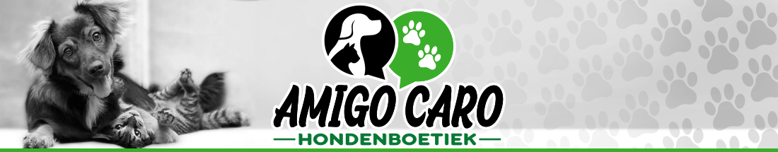 Amigo Caro