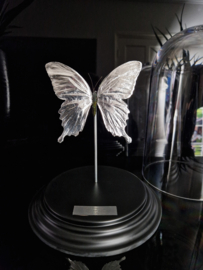 Butterfly Dome with silver plated Papilio Ulysses butterfly 27cm RMS47